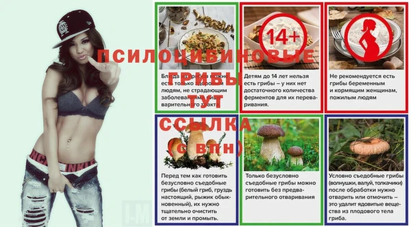 прущая мука Аркадак