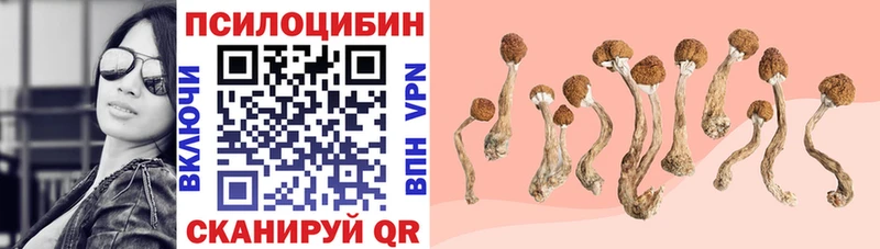 Галлюциногенные грибы MAGIC MUSHROOMS Саяногорск